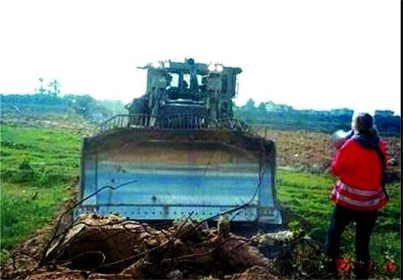نوار غزه , کشور فلسطین , شهید , کتاب , 