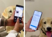 سامسونگ قابلیت Pet Care را معرفی کرد؛ تشخیص بیماری حیوان خانگی با یک عکس