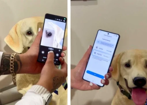 سامسونگ قابلیت Pet Care را معرفی کرد؛ تشخیص بیماری حیوان خانگی با یک عکس