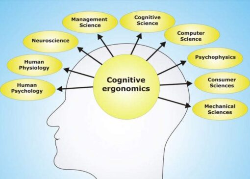 شناخت (Cognition) چیست ؟
