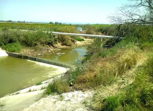 رژیم صهیونیستی (اسرائیل) , شهرک سازی رژیم صهیونیستی اسرائیل , اسرای فلسطینی , احتلال فلسطین عام 1948 , النازحین الفلسطینیین , کشور فلسطین , المقاومة الفلسطینیة , النکبة , 