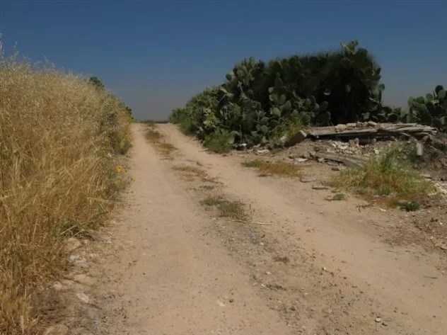 رژیم صهیونیستی (اسرائیل) , شهرک سازی رژیم صهیونیستی اسرائیل , اسرای فلسطینی , احتلال فلسطین عام 1948 , النازحین الفلسطینیین , کشور فلسطین , المقاومة الفلسطینیة , النکبة , 
