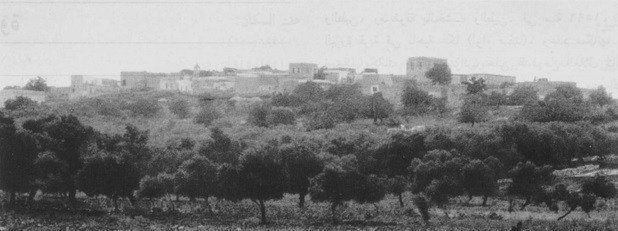 کشور فلسطین , رژیم صهیونیستی (اسرائیل) , ادبیات مقاومت , 
