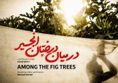 «در میان درختان انجیر»؛ روایت ناب موکب‌داری مادر عراقی در مسیر اربعین