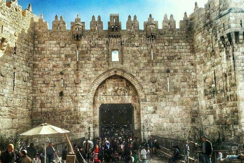 کشور فلسطین , رژیم صهیونیستی (اسرائیل) , دونالد ترامپ , خلیج فارس , تنگه هرمز , آمریکا , جمهوری اسلامی ایران , 