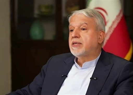 صالحی‌امیری: استراتژی ما دیگر بازگشت اجباری ایرانیان خارج از کشور نیست