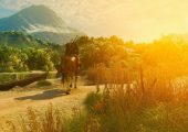 آپدیت جدید The Witcher 3 Remastered مشکل نورپردازی بازی را هدف قرار می‌دهد